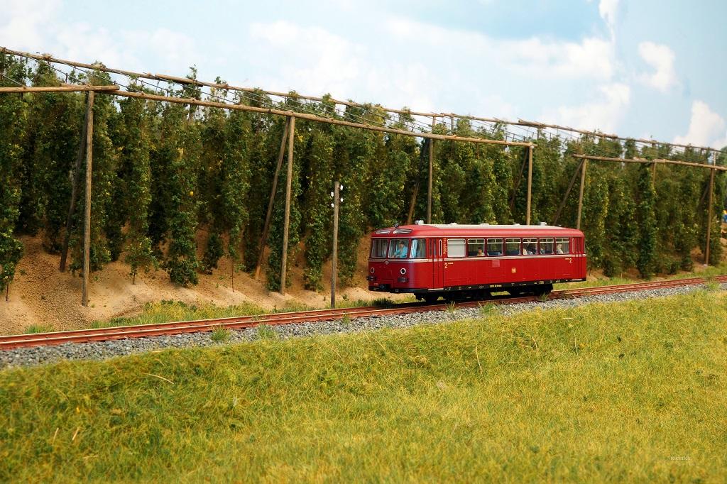 Hopfengarten mit Schienenbus, Foto: tokaalex, mit freundlicher Genehmigung