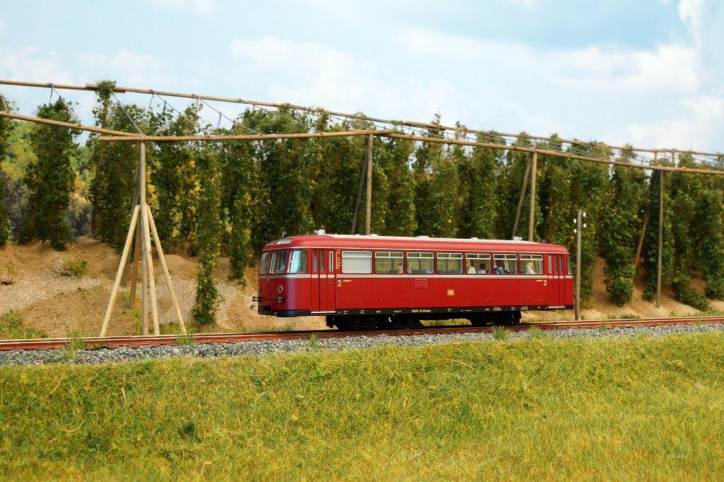 Hopfengarten mit Hangrutsch, Foto: tokaalex, mit freundlicher Genehmigung