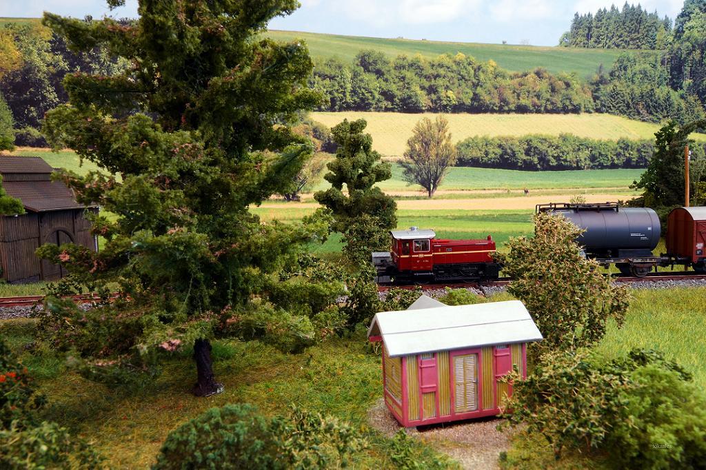 Köf vorm Bienenhaus, Foto: tokaalex, mit freundlicher Genehmigung